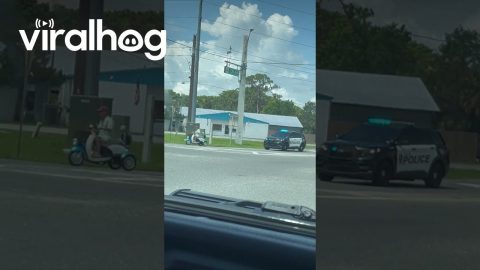 Old Man Makes a Run for It || ViralHog