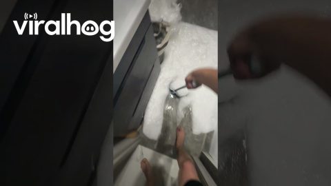 Foam Toilet Party || ViralHog