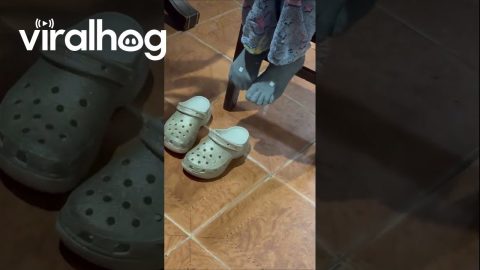 Cozy Martian Feet || ViralHog