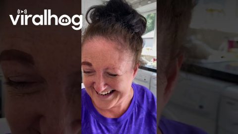 No eyebrows?! No problem! || ViralHog