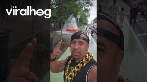 Broken Fire Hydrant Turns NYC Street Into Waterpark || ViralHog