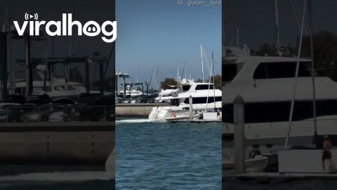 Yacht Crashes Into Marina Wall || ViralHog