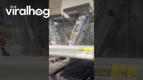 Walgreen's Snacks Locked Up || ViralHog