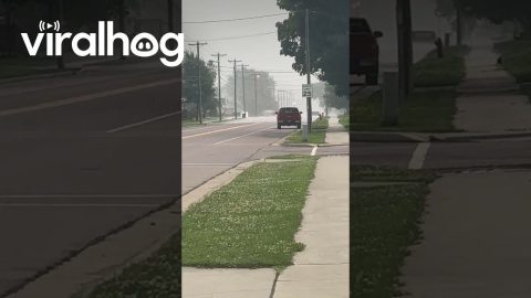 Wall of Rain Comes Down Street || ViralHog