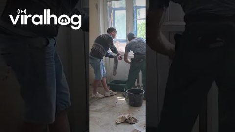 Fixing a Heating Radiator Turns Into a Flood || ViralHog