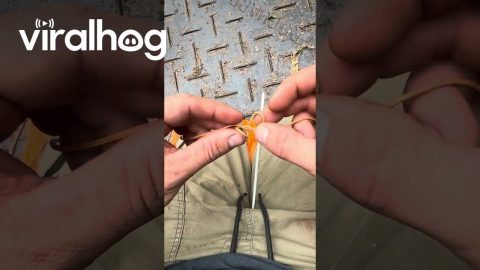Using Clever Knotwork to Retrieve Lost Keys || ViralHog