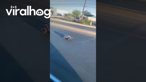 RC Car Drives Down Tucson Road || ViralHog