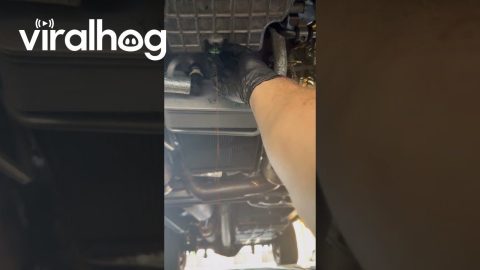 Poorly Designed Engine Sprays Oil Everywhere || ViralHog