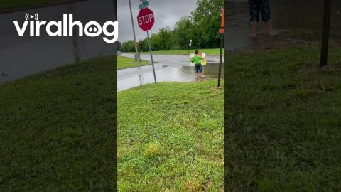 Kid Asks for a Splash and Drivers Oblige || ViralHog