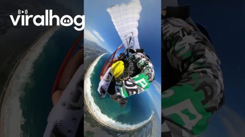 Parachute Failure Quickly Corrected || ViralHog