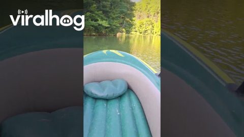 Lake Vida || ViralHog