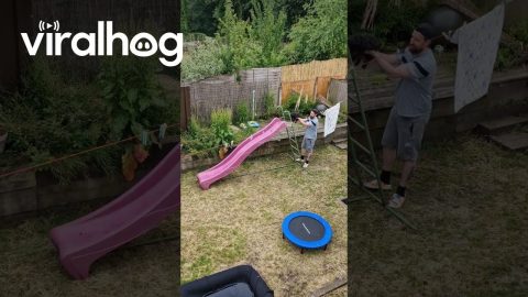 Dog Loves Playset Slide || ViralHog