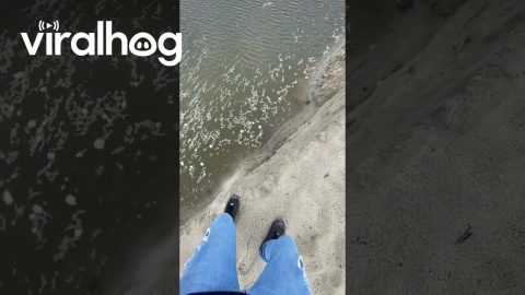 Man Falls Down Sandy Drop Off || ViralHog