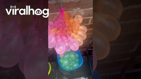 Filling 100 Water Balloons in Seconds || ViralHog