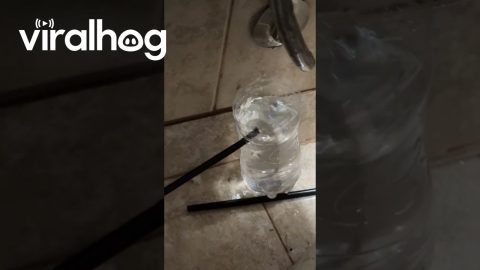 Bathroom Leak Fixed || ViralHog