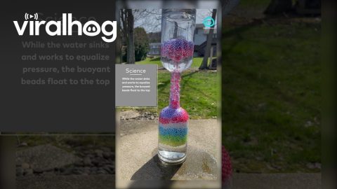 Moving Beads in Glass Bottles || ViralHog Shorts