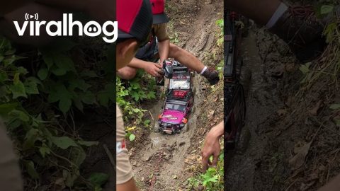RC Cars Get Stuck in the Mud || ViralHog