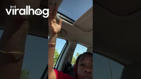 Not Even Books Can Survive This Heat Wave || ViralHog