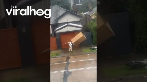 Granny Toppled By Flying Box During Cyclone || ViralHog