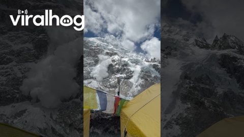 Avalanche at Everest Base Camp || ViralHog