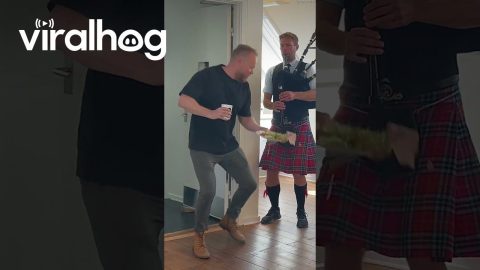 Sudden Bagpipes Startle Coworker || ViralHog