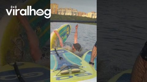 How Not to Drown an iPhone the Terminator Technique || ViralHog