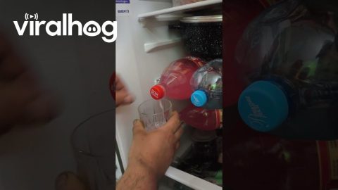 Lazy Soda Dispenser || ViralHog