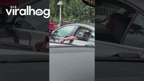 Bro Driving From the Backseat || ViralHog
