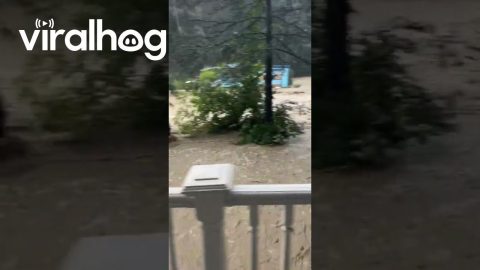 July Flooding in Petersburg, Virginia || ViralHog