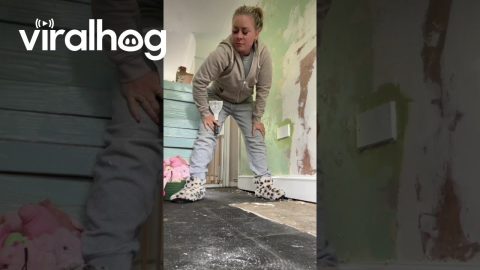 Dog Racetrack Disrupts Decorating || ViralHog