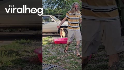 Dave's Latest Hobby? Extreme Pool-Relocation || ViralHog