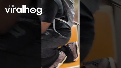Flood Coverage at a New York Subway Station || ViralHog
