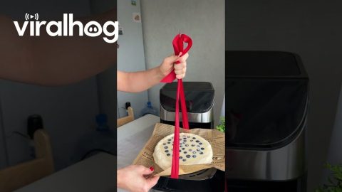 Cake Batter Prep Gets Messy || ViralHog