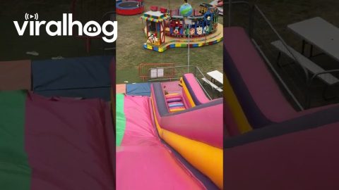 Puppy Plays On Giant Inflatable Slide || ViralHog