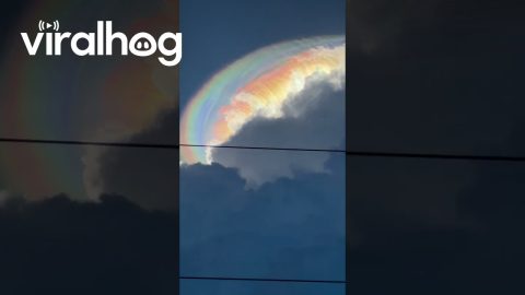 Sun Halo Peaks Through Storm Clouds || ViralHog