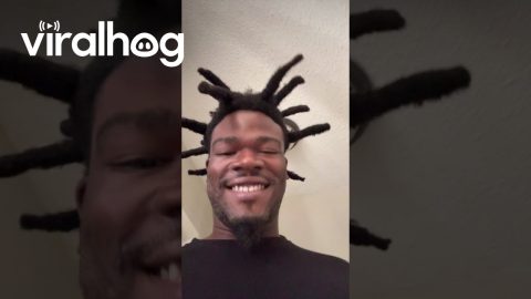 Dog Has Matching Dreadlocks With Owner || ViralHog
