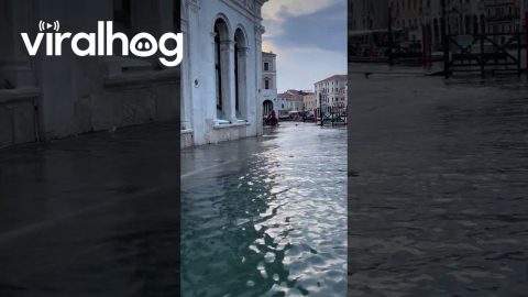 Venice Streets Sink Into Sea During High Tide || ViralHog