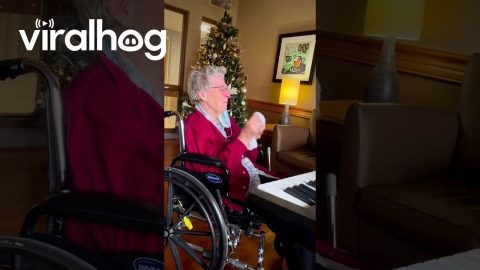 Retired Piano Teacher Gifted New Instrument || ViralHog