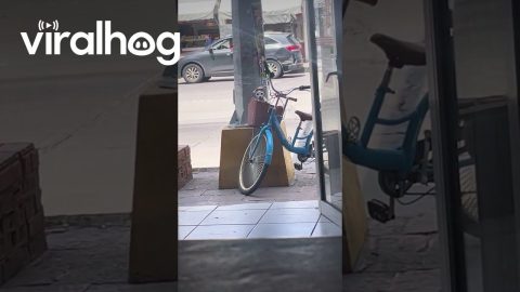 Fashionably Waiting || ViralHog