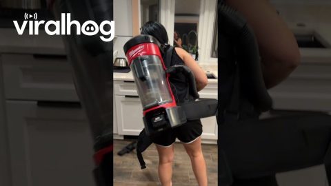 Cleaning the Kitchen With a Backpack Vacuum || ViralHog