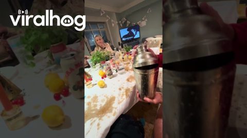 Shaken or Stirred? || ViralHog