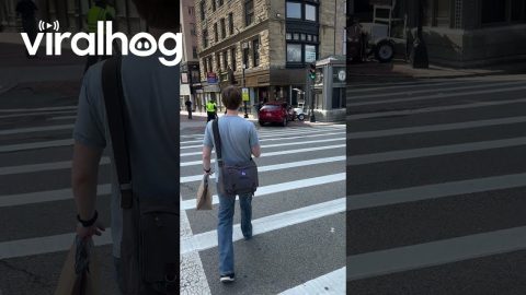 Great Job Parking In Boston || ViralHog