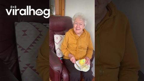 Grandparents First Ever Baby Reveal Takes A Second To Click || ViralHog