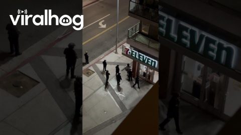 Food Delivery Halted By Armed Police In LA || ViralHog