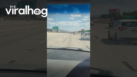 Freeway Follow the Leader || ViralHog
