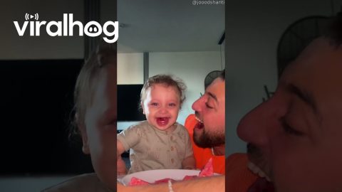 Bff's Eat Watermelon and Laugh || ViralHog