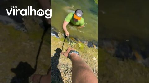Golfer Takes A Barefoot Swim || ViralHog