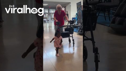 Toddler Giving Out High Fives || ViralHog