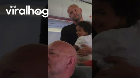 Surprised My Partner With Cancer-Free Announcement on the Plane || ViralHog