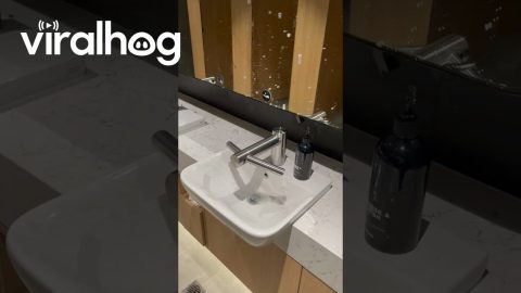 Dyson Awarded Best Design in Class || ViralHog